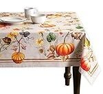 Der große Kürbisvergleich: Analyse typischer französischer Potiron-Produkte